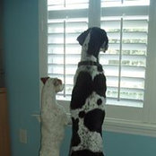 Pam Davis's photo