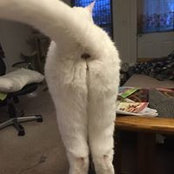 Steve Fennema's photo