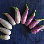 Katie (South Australia, Mediterranean climate)'s photo
