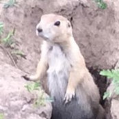 Vanya Rhea's photo