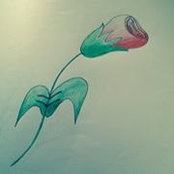 Foto von Doaa Adnan Hamada
