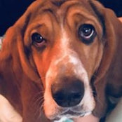 Betsy Fetner's photo