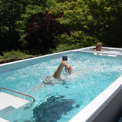 Endless Pools - Endless Pools&reg; Dual Temperature Swim Spa, Hot tub - Hot Tubs