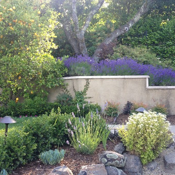 Orinda Hillside