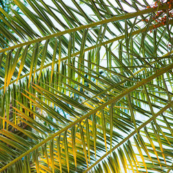 New Stock Photography - Products