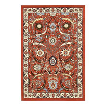 Living room rug