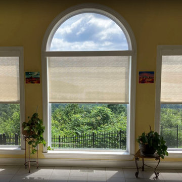 Roller Shades to Control Your View