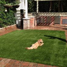 pet friendly landscaping