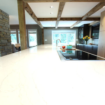 Brittanica Quartz Countertop with 36" Wolf Induction Cooktop