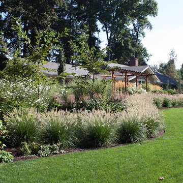 Grasses and Movement