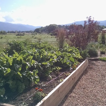 Taos Projects