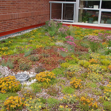 Green Roofs