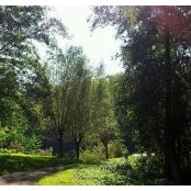 Foto von Eileen Blunk