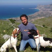 Toti Bellavistas foto