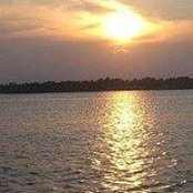 Phyllis Johnson's photo