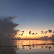 Christine Barnaby's photo