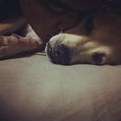 Benz Sumrithiwong's photo