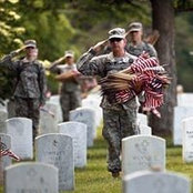 Chris Tierney's photo