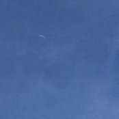 Samuel Watkins's photo