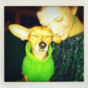 Meg Posey's photo