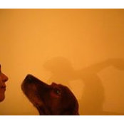 Mari Rocha's photo