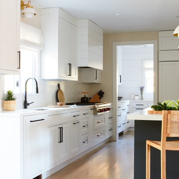 Modern Kitchen & Pantry Remodel