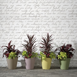Madison Barcelona Planter - Products