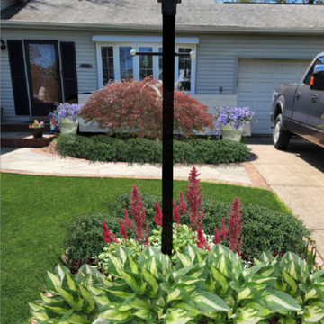 Foundation Plantings