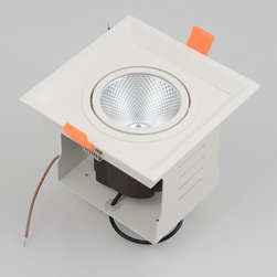 LED down light - Ceiling Lighting