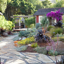 front yard