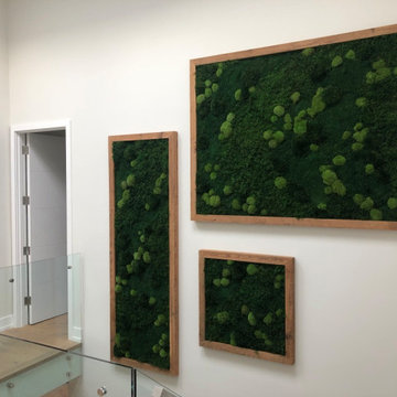 Residential Mixed Moss Features