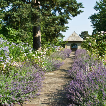 Edwardian Elegance, Surrey
