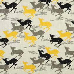 DwellStudio for Robert Allen - Fabric