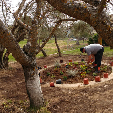 EL JARDÍN SIN RIEGO