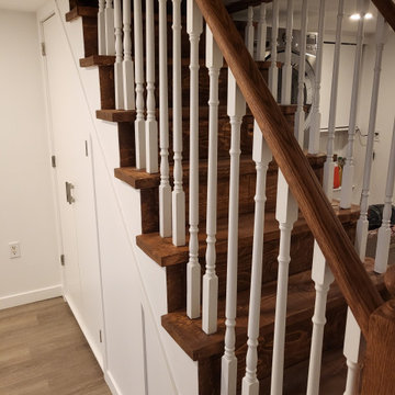 Erskine Basement/Bathroom Reno