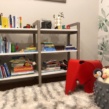 Whimsical Boy's Nursery in Arlington, VA