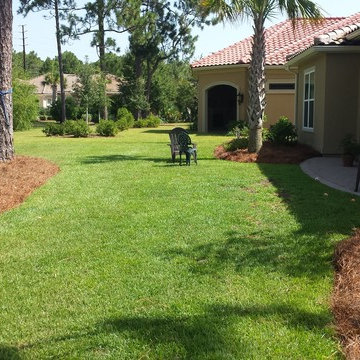 Pine Straw
