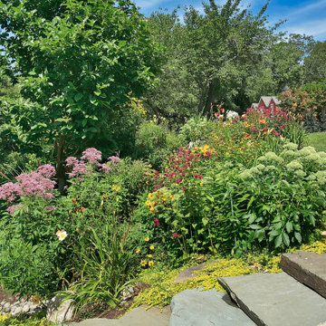 Farmhouse Stream Construction & Pond Restoration