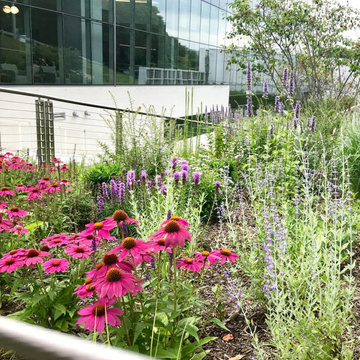 Public pollinator garden