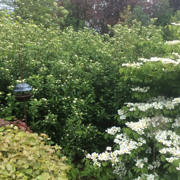 Aménagement de jardins