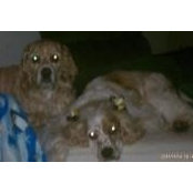 Bonnie Barte's photo
