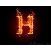 Michael Henninger's photo