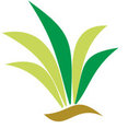 Country Gardens Landscaping's profile photo