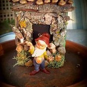 Janet Marohl's photo