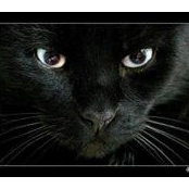 Anna Maccagni's photo