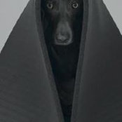 Foto von Peter Simonik