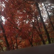 Katherine Barg's photo