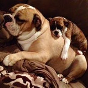 Danielle Ergood's photo