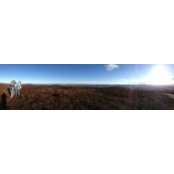 Lucy Jethwa's photo