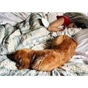 Jennifer Rosner's photo